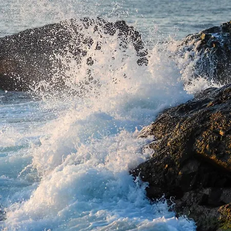 Afrodita 2 2* Sinemoretz